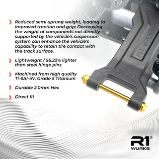 R1WURKS Rear Outer Hinge Pin, Titanium  (Titanium Nitride Coated)