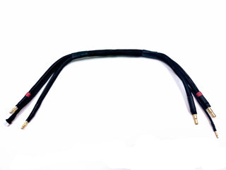 CHARGING ACCESSORIES - R1 Brushless Motor Lab, LLC.