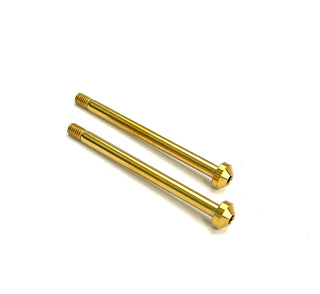 R1WURKS Rear Outer Hinge Pin, Titanium  (Titanium Nitride Coated)