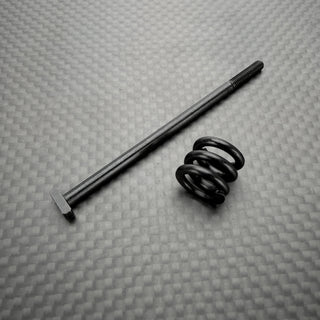 R1WURKS R1B Slipper Screw and Spring