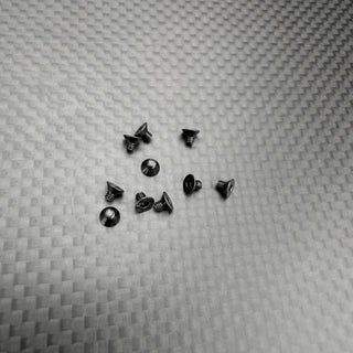 R1WURKS Screws, M2 X 3mm FHCS