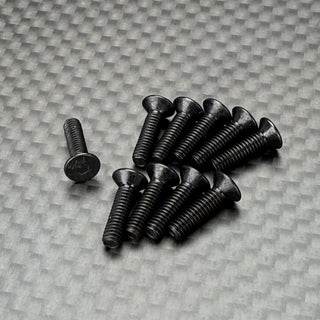 R1WURKS Screws, M2.5 X 10mm FHCS