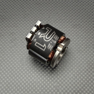 R1WURKS V30 Replacement Stator