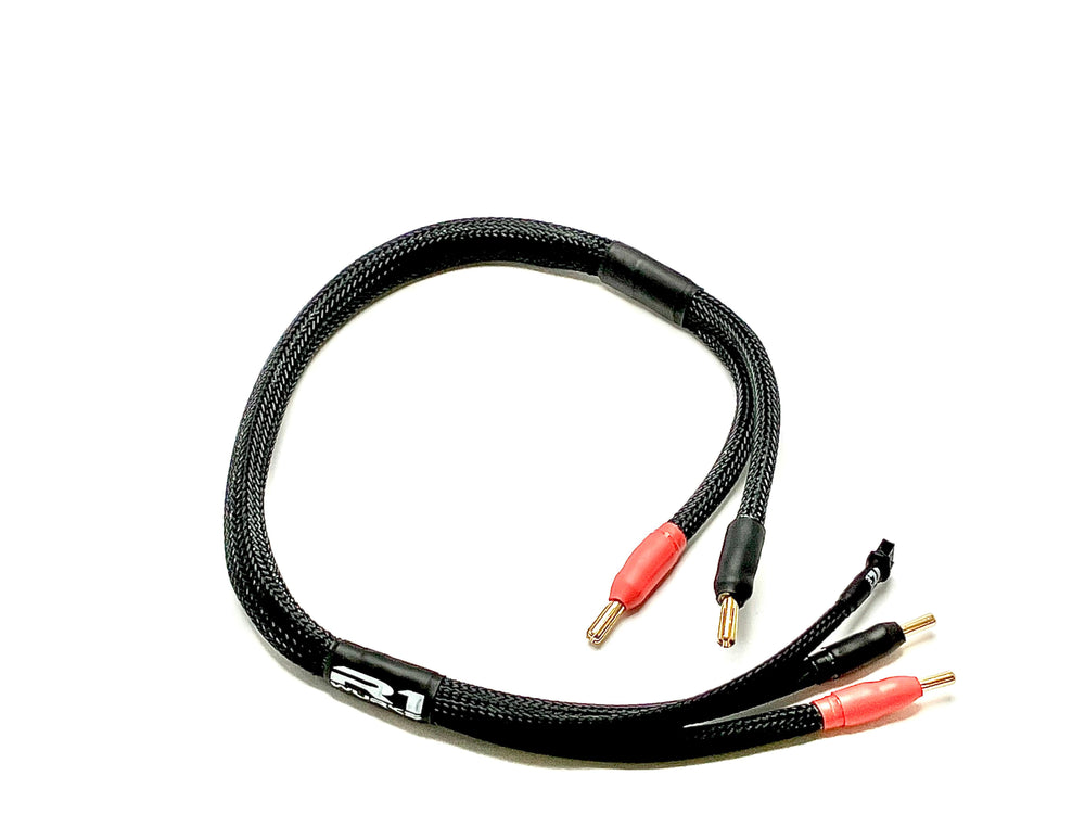 R1 Charging Cable (1S) - R1 Brushless Motor Lab, LLC.